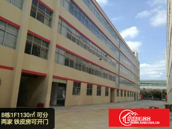 出租清溪镇1900平方办公室装修厂房出租