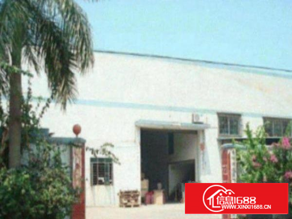 万江独院单一层钢结构800平方厂房出租