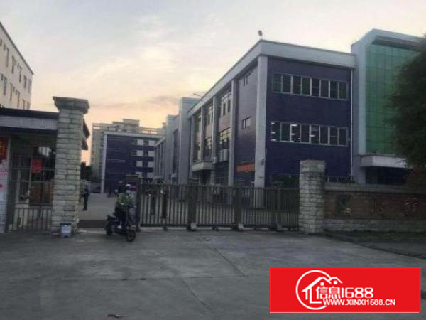 卢边楼上1300平米带豪华精装修厂房出租