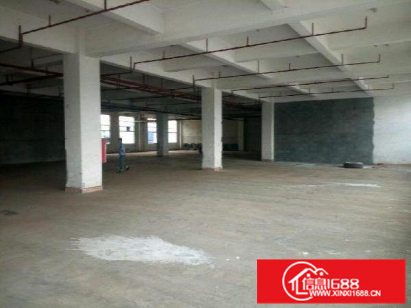 龙岗龙东新出一楼厂房1150平米招租