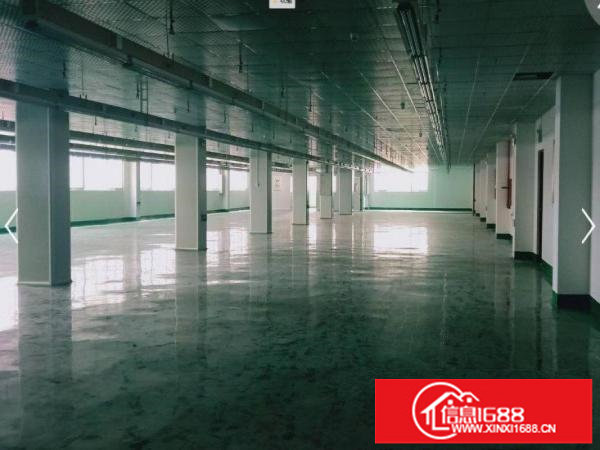 大道边新出二楼1000平方精装修厂房出租