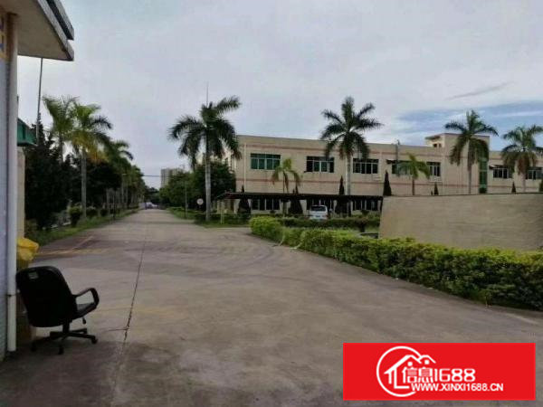 新出一楼资源2360平方，19元每平方