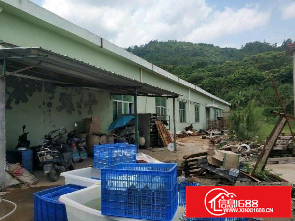 新圩镇原房东靠山边独院钢构3500平方厂房出租