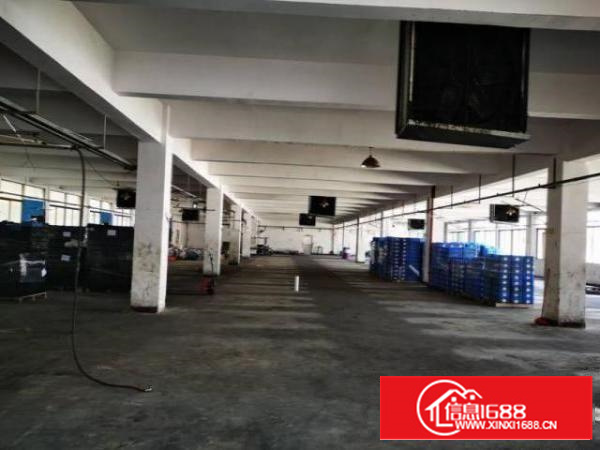 石排燕窝原房东独院厂房600平方可办环评大小可分租