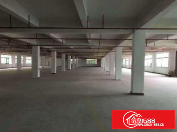 万江大量独院标准厂房仓库200至20000平方招租