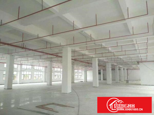 镇隆标准红本工业园50000平米出租（可分租可办环评）