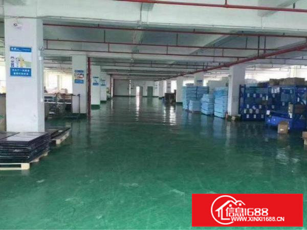 坪地高新技术产业园整栋出租、可分层出租