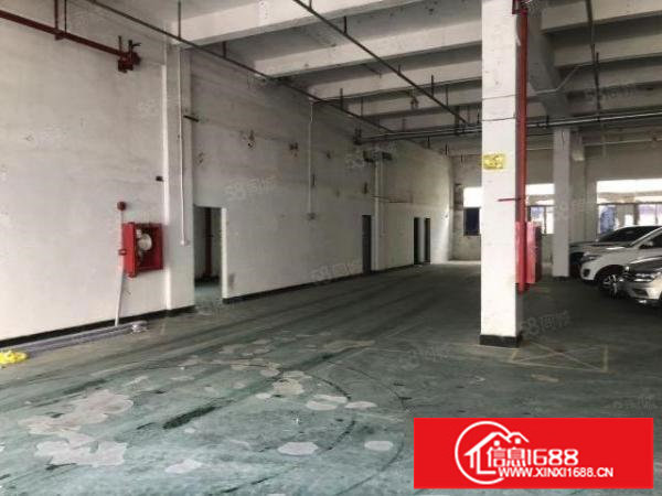 龙华大浪南路一楼厂房700平招租，租金20元