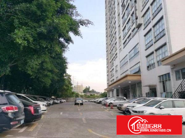 沙井107国道黄埔高新园240平实际面积办公仓库出租