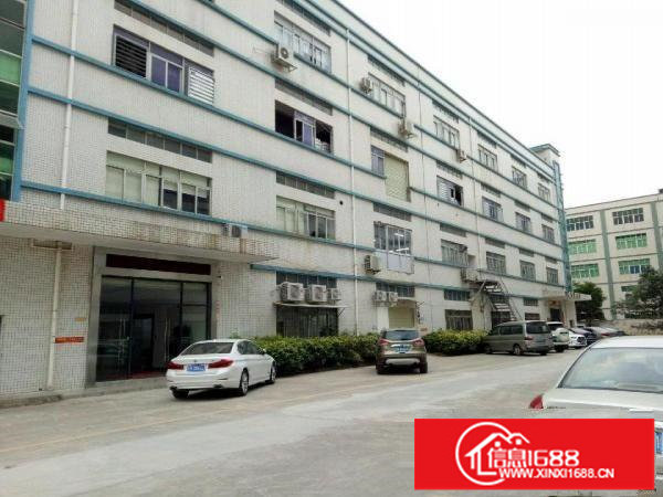 坪山竹坑大工业区原房东厂房三楼2400平米有红本