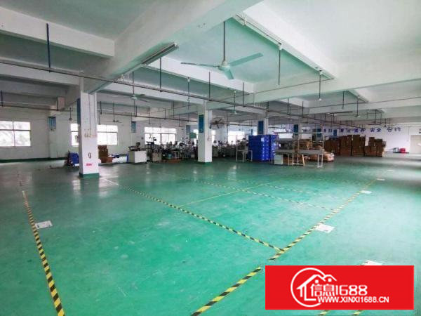 塘厦龙背岭楼上800平方出租，带装修办公室，拎包即可入驻