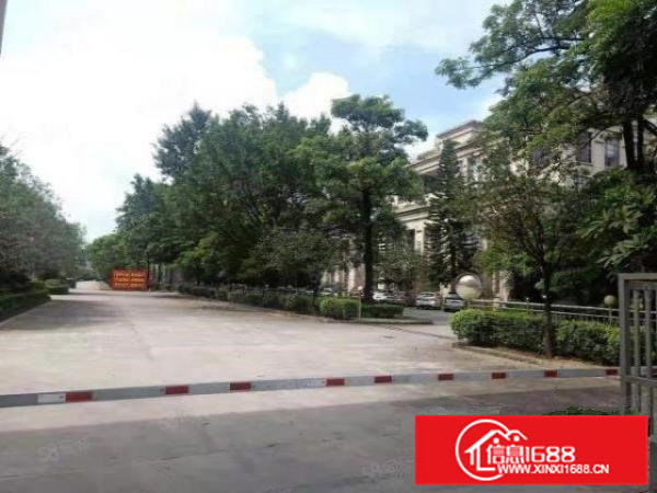 200平起租清溪重河新出单一层钢结构厂房28000平滴水8米