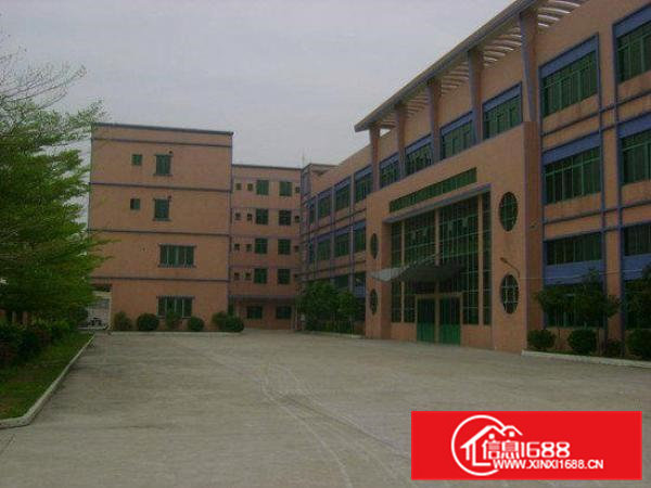 横沥超靓独院厂房3300平方低价出租