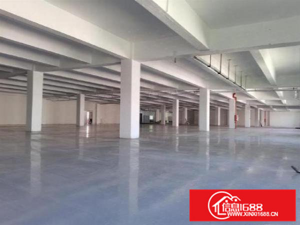 企石下截村红本1200平厂房带地坪漆3部3吨货梯