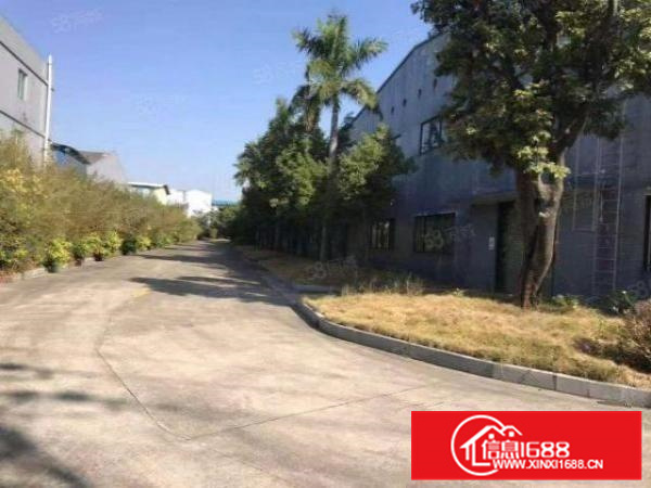 三水乐平单一层独院14253方。别墅办公楼。花园厂房。