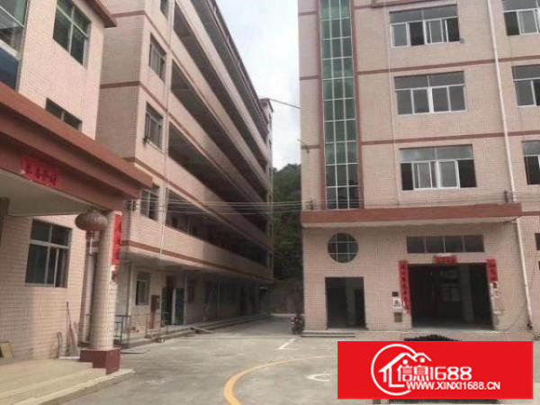 同乐原房东标准产房大小分租