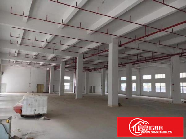 仲恺高新区全新独院三万五平方标准厂房招租