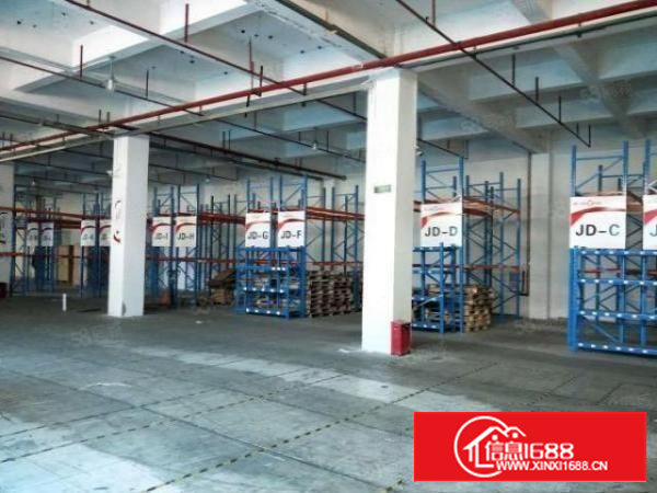 黄埔107村委厂房一楼1500平厂房出租，面积实在