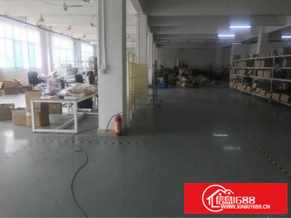 观澜高尔夫新出800平方，精装修办公室，水电齐全