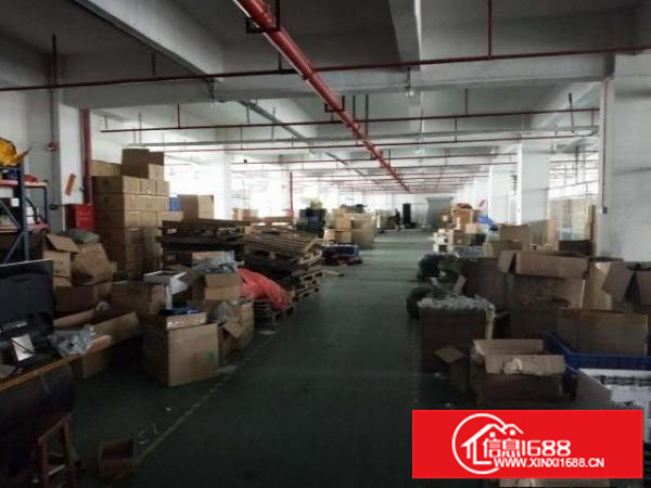 凤岗近深圳电子手机电商厂房出租现成流水线