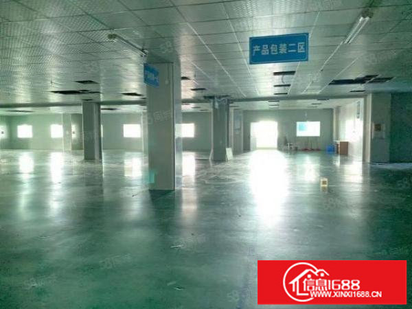 观澜楼上1400平全新地坪漆厂房出租，没有公摊价格很实惠