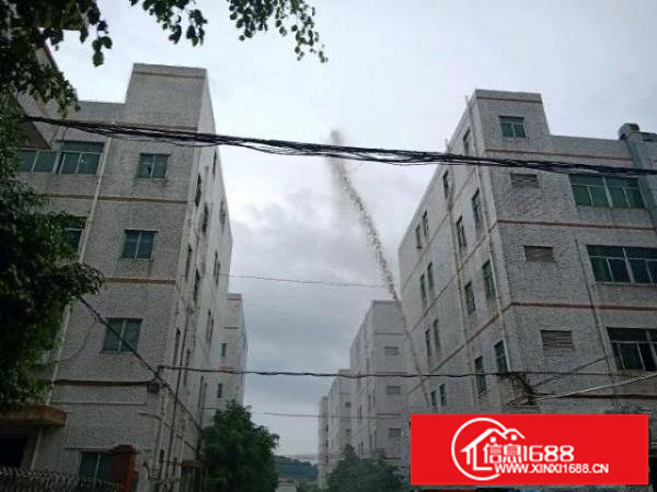 龙岗区厂房、办公室招租