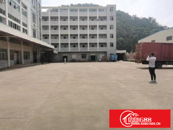 凤岗金凤凰工业区楼上1500平原房东精装修超大空地厂房出租