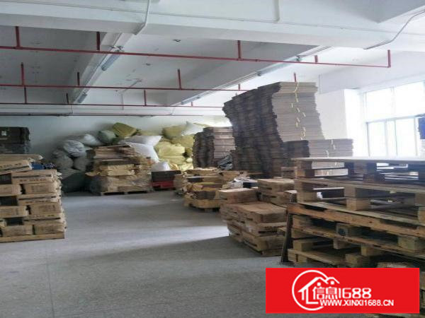 高新园区楼上1200平米带精致装修电商厂房