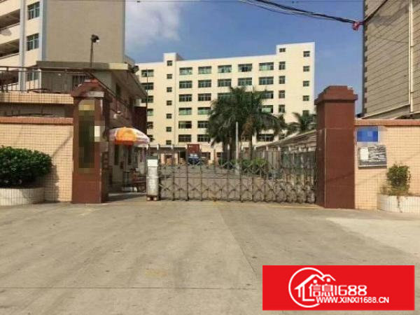 田心同富裕工业新出现成精装修厂房460平招租