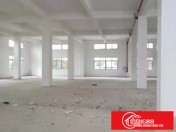 原房东独院1000平米