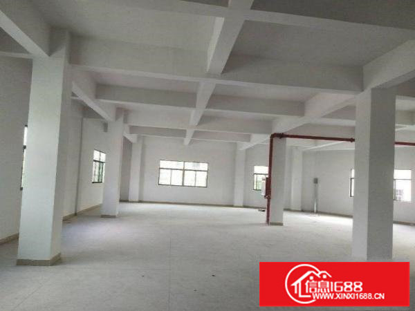 出租龙岗区南联新出原房东标准厂房500平方现成装修价格便宜