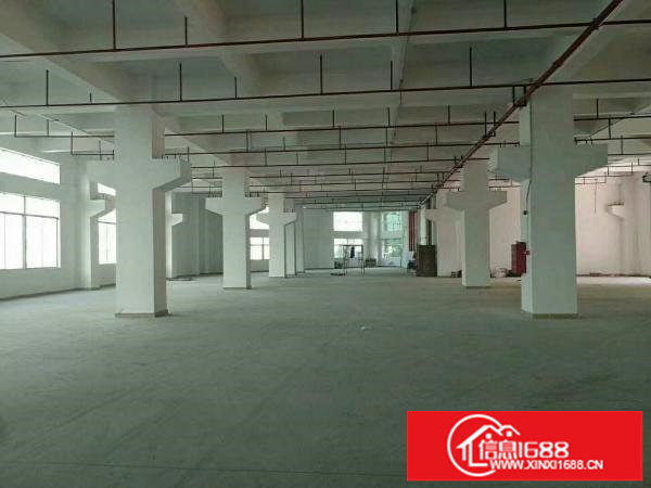 平湖原房东带红本厂房二楼1200平米急租可分租