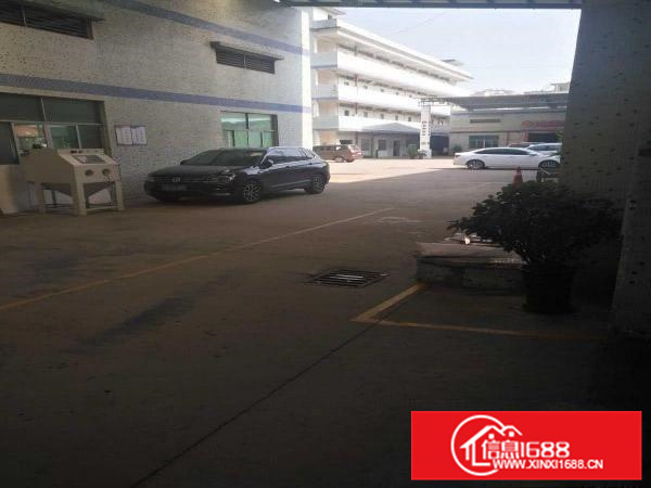 出租惠阳新墟钢结构厂房