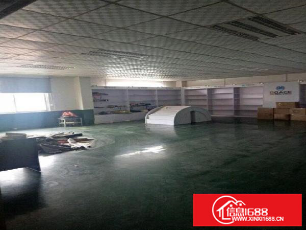 模具城附近厂房5000平米独院