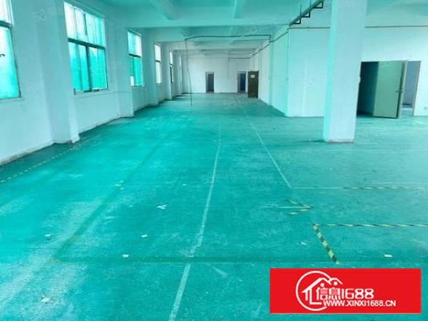 洲石路原房东工业区整层650平米实际面积532平，3间办公室