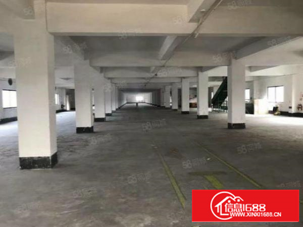 非中介，石碣四甲标准独园厂房可分租位置优美。周边配套齐全。