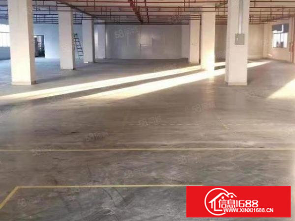 头镇单层面积3300平方,带现成装修地坪漆,吊顶等厂房出租