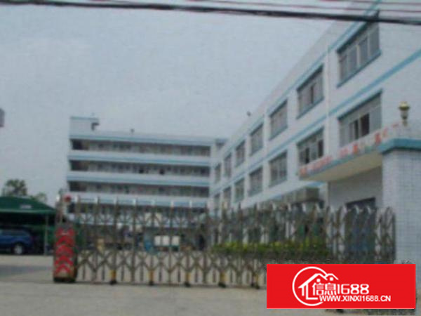 万江5500平方标准独院花园式厂房出租招租