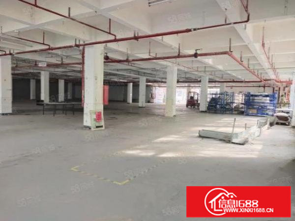 雁田怡安工业城2600平原房东红本独栋一楼仓库厂房出租可分租