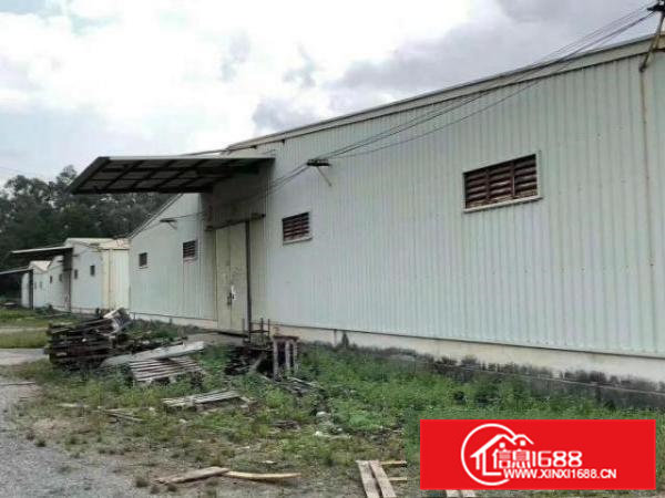 凤岗靠近深圳60000平方钢构出租合适仓库物流可分租