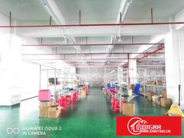 有消防喷淋北滘港1000标准厂房出租证件齐全A