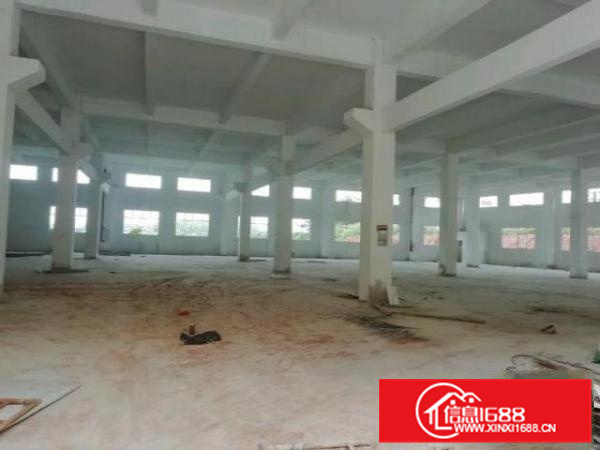 丹灶镇全新两层标准厂房2400平低价出租