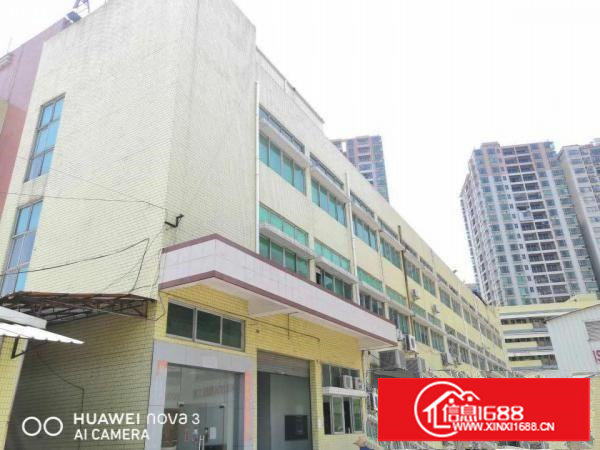 有注塑喷油移印丝印环评长安镇沙头出租一楼厂房可分租