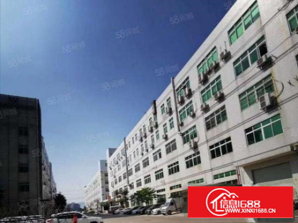 西乡银田一楼1000平米厂房仓库大小面积出租