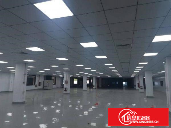 大岭山高速出口附近新出豪华装修1.2楼2500平米招租