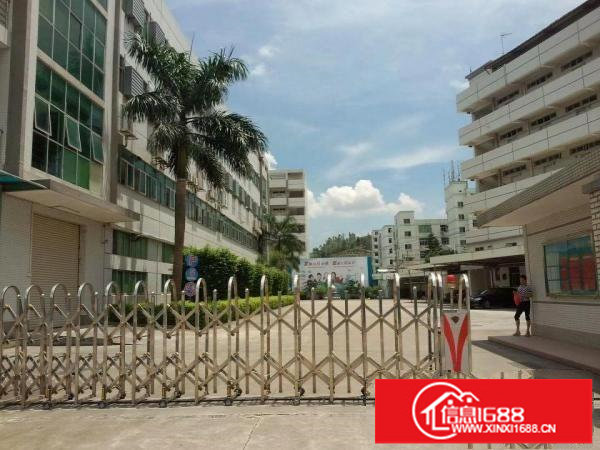 急龙岗爱联地铁附近原房东一楼厂房500平米带装修