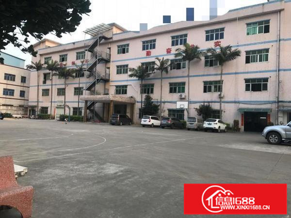 常平苏坑大型工业区新出原房东标准厂房一楼650平方