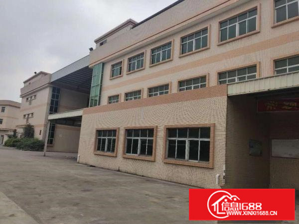 常平|常黄路独门独院厂房急租