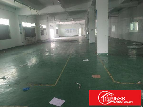 龙岗南通道边原房东独栋3000平现成办公楼出租