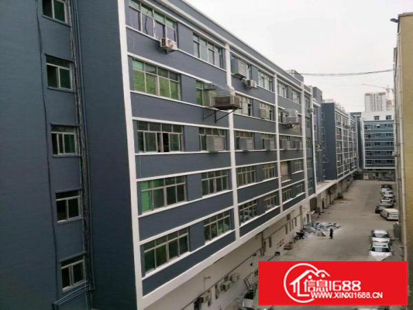 坂田雪象淘宝天猫电商办公仓库60一200招商